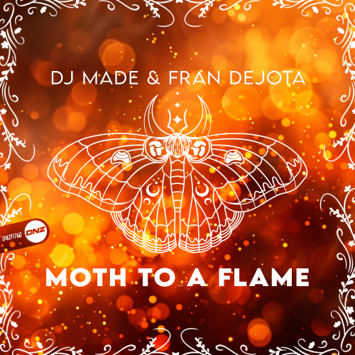 Moth To A Flame