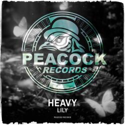Heavy