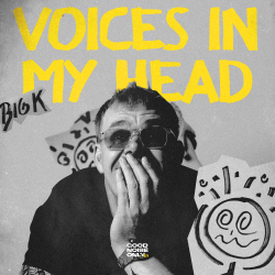 VOICES IN MY HEAD