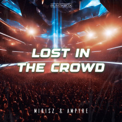 Lost In The Crowd