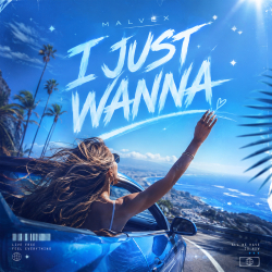 I Just Wanna