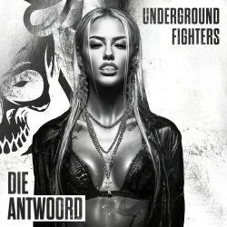 Die Antwoord