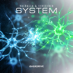 System