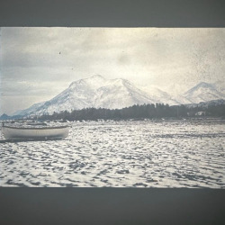 BORDELINE (studio life)