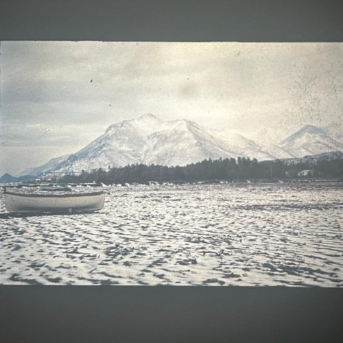 BORDELINE (studio life)