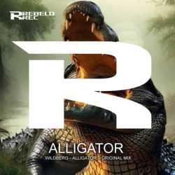 Alligator