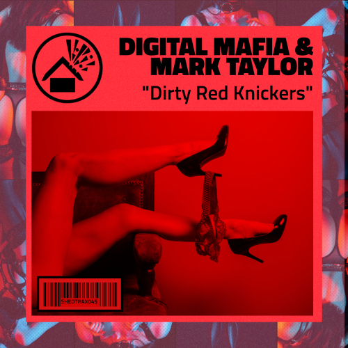 Dirty Red Knickers