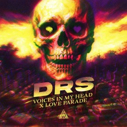 Voices In My Head x Love Parade