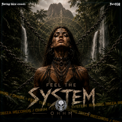 Feel the System