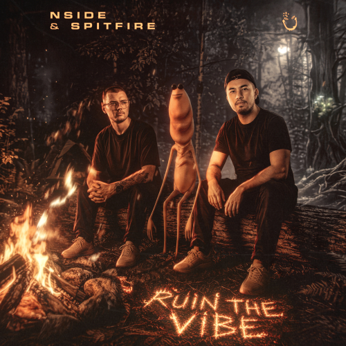 RUIN THE VIBE