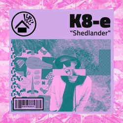 ShedLander