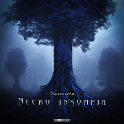 Necro Insomnia