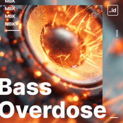 Bass Overdose